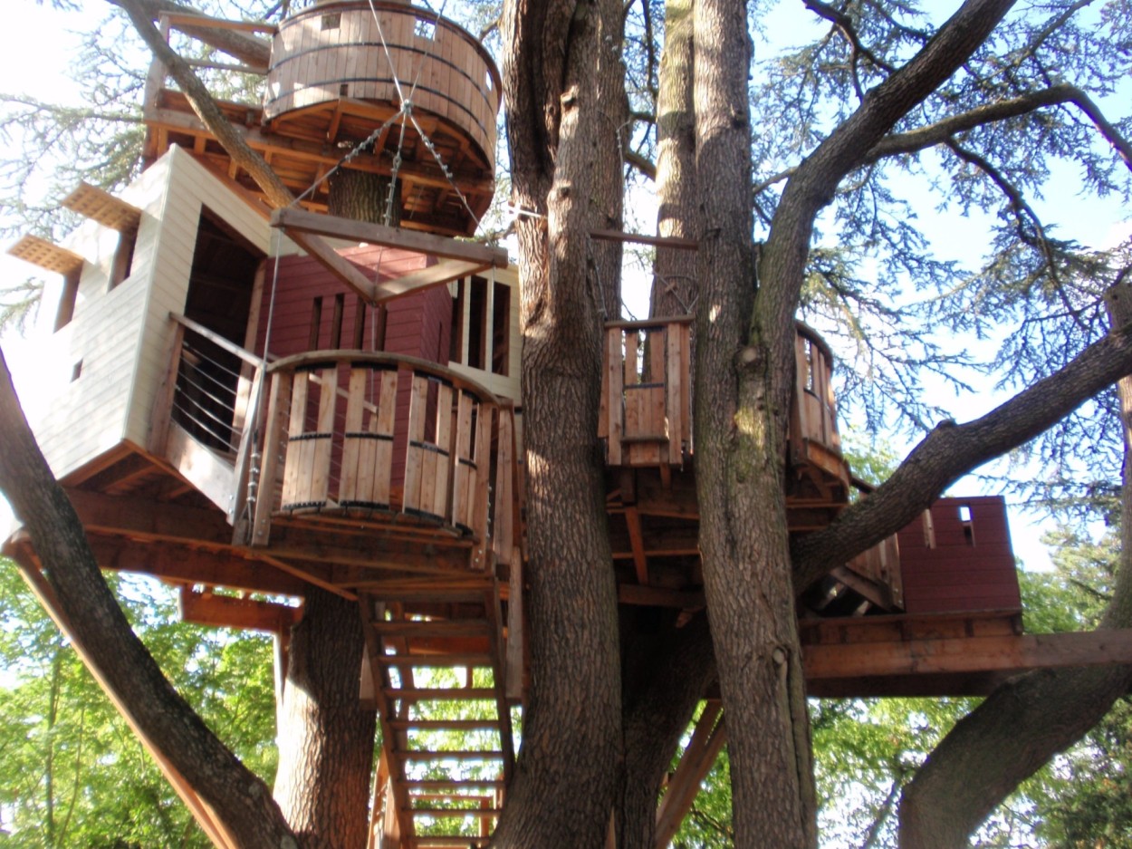 Tree House